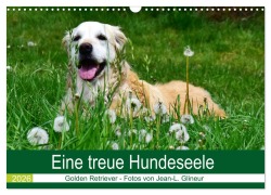 Cover-Bild zum Titel 'Eine treue Hundeseele - Golden Retriever (Wandkalender 2026 DIN A3 quer), CALVENDO Monatskalender' von 'Jean-Louis Glineur'