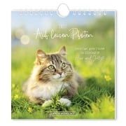 Cover-Bild zum Titel 'Postkartenkalender 2027 Auf leisen Pfoten' von ''