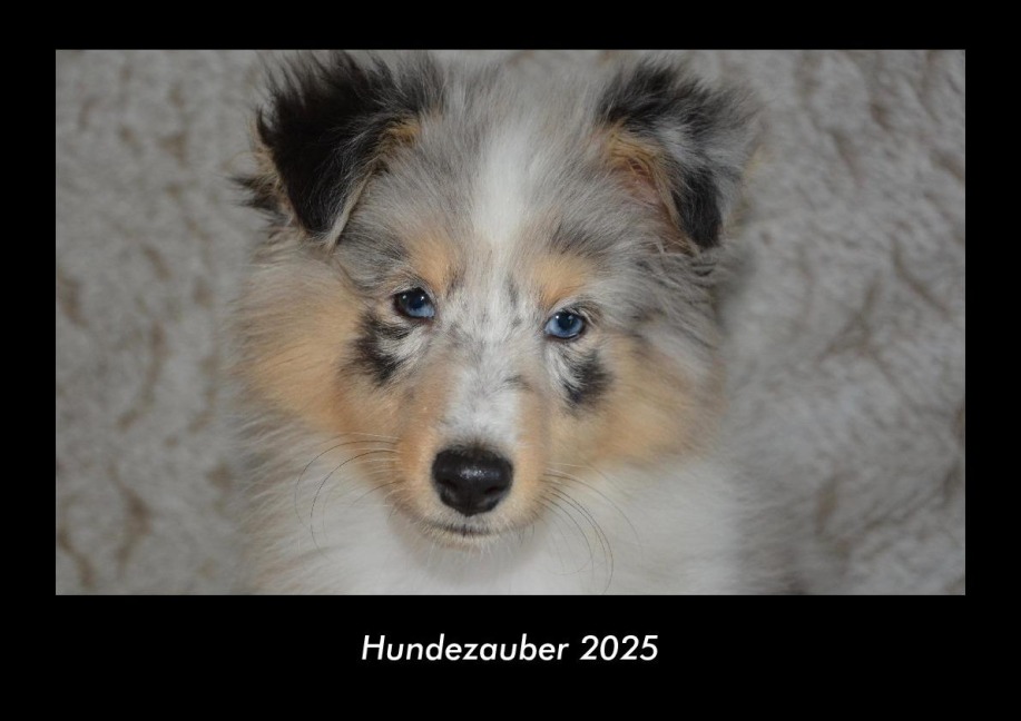 Hundezauber 2025 Fotokalender DIN A3 - Tobias Becker