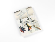 Cover-Bild zum Titel 'Japan (new edition)' von 'Pepin Van Roojen'