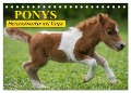 Ponys. Herzensbrecher mit Grips (Tischkalender 2025 DIN A5 quer), CALVENDO Monatskalender - Elisabeth Stanzer