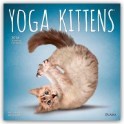Cover-Bild zum Titel 'Yoga Kittens - Kätzchen Yoga 2026 - 16-Monatskalender' von 'Browntrout Publishers'