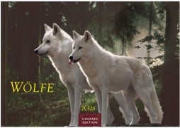 Cover-Bild zum Titel 'Wölfe Kalender 2026 - Wandkalender | Fotokalender Tierkalender 24x35cm - . mit faszinierenden Wolf-Motiven,' von ''