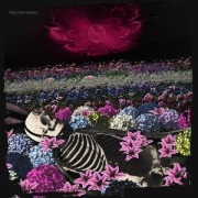 Redefined - Dead Rabbitts