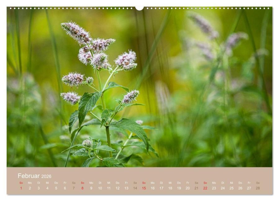 InsideView 7