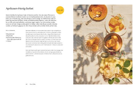 InsideView 8