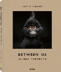 Cover-Bild zum Titel 'Between Us' von 'Vincent Lagrange'