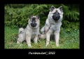 Hundezauber 2023 Fotokalender DIN A3 - Tobias Becker