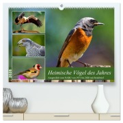 Cover-Bild zum Titel 'Heimische Vögel des Jahres (hochwertiger Premium Wandkalender 2026 DIN A2 quer), Kunstdruck in Hochglanz' von 'Claudia Kleemann'