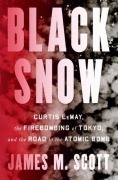 Cover-Bild zum Titel 'Black Snow' von 'James M Scott'