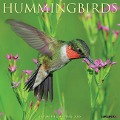 Hummingbirds 2025 12 X 12 Wall Calendar - Willow Creek Press