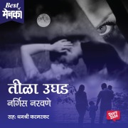 Cover-Bild zum Titel 'Tila Ughad' von 'Nargis Naravane'