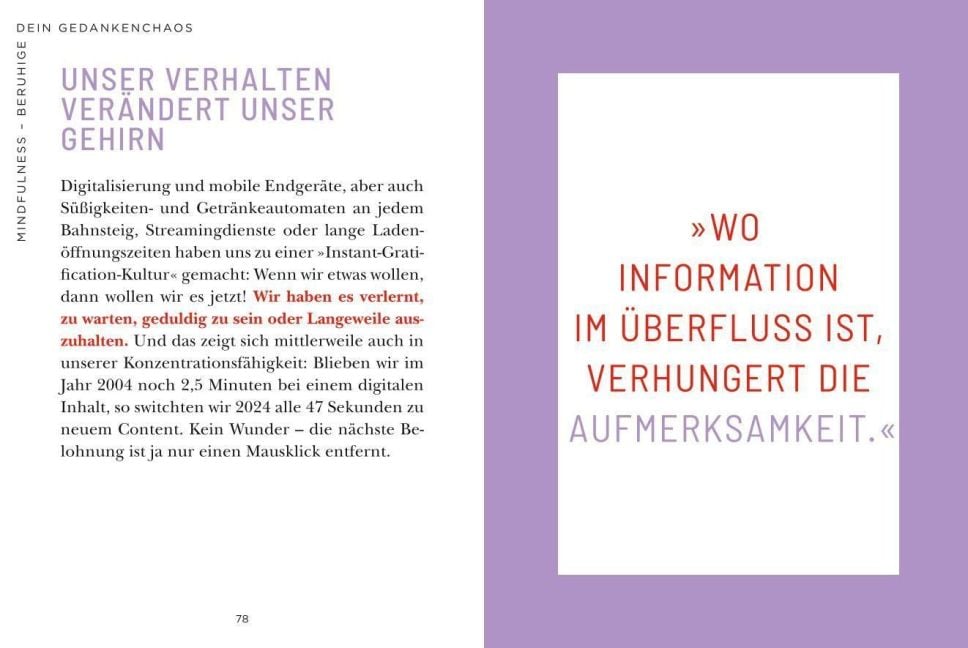 InsideView 8
