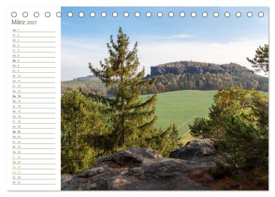 InsideView 8