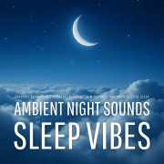 Cover-Bild zum Titel 'Sleep Vibes: Ambient Night Sounds' von 'Ambient Night Sounds Lab'