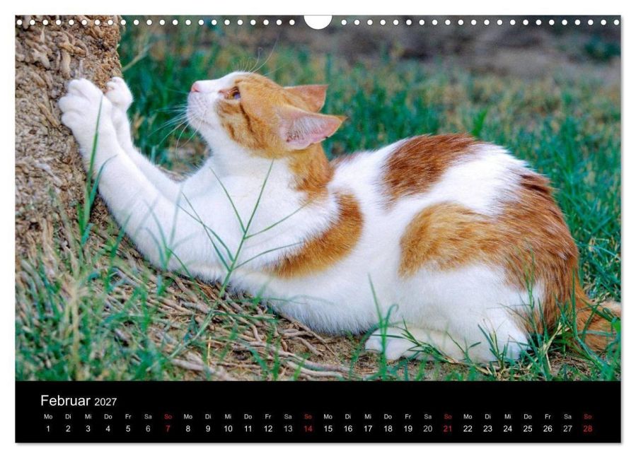 InsideView 7