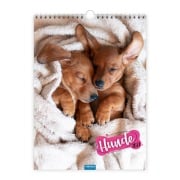 Cover-Bild zum Titel 'TRÖTSCH - Classickalender Hunde 2027' von ''