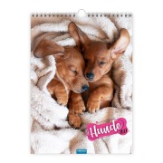 Cover-Bild zum Titel 'TRÖTSCH - Classickalender Hunde 2027' von ''
