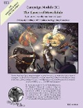 Cover-Bild zum Titel 'The Slavers of Mareshdale for Monsters & Magic' von 'Julian Ag Stanley, Travis S. Casey'
