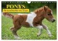 Ponys. Herzensbrecher mit Grips (Wandkalender 2025 DIN A4 quer), CALVENDO Monatskalender - Elisabeth Stanzer