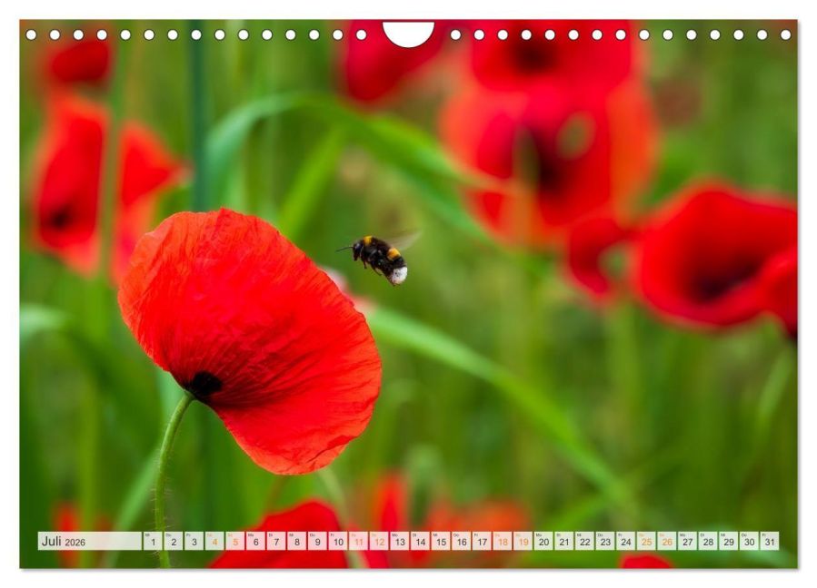 InsideView 12
