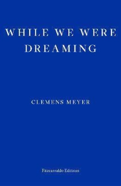 While We Were Dreaming - Clemens Meyer