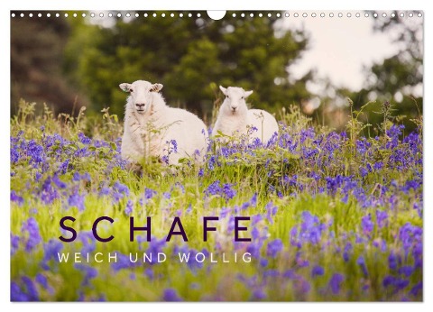 Schafe - Weich und wollig (Wandkalender 2025 DIN A3 quer), CALVENDO Monatskalender - Lain Jackson