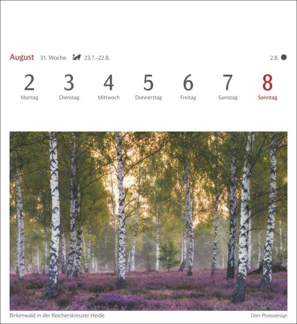 InsideView 12