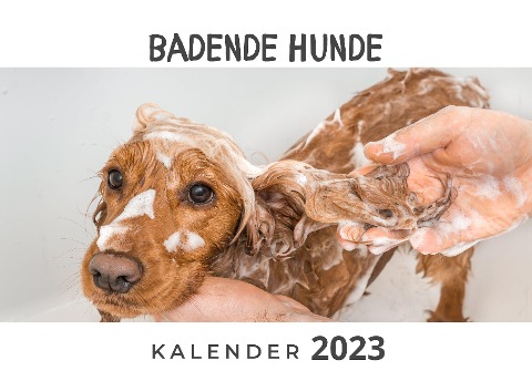 Badende Hunde - Tim Fröhlich