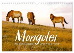 Mongolei - Endlose Steppe und wilde Natur. (Wandkalender 2026 DIN A4 quer), CALVENDO Monatskalender - Happy Monkey