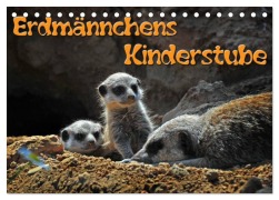 Erdmännchens Kinderstube (Tischkalender 2026 DIN A5 quer), CALVENDO Monatskalender - Ingo Laue