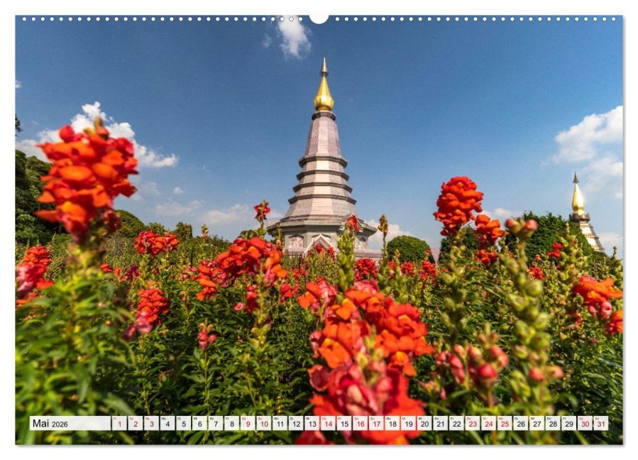 InsideView 10