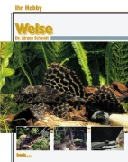 Cover-Bild zum Titel 'Ihr Hobby Welse' von 'Jürgen Schmidt'