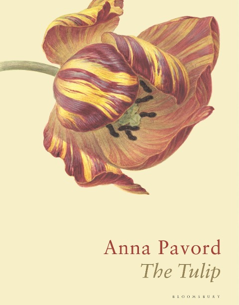 The Tulip - Anna Pavord