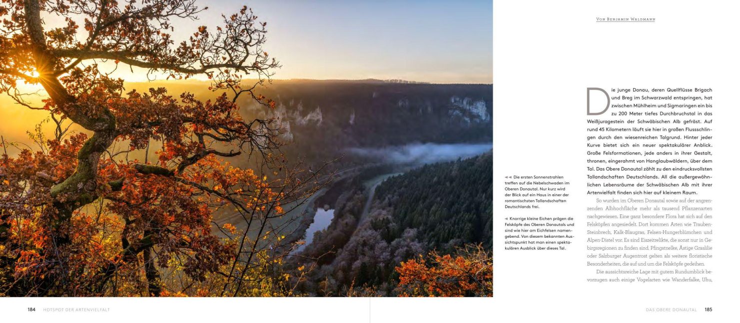 InsideView 9