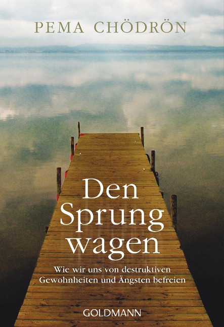 Den Sprung wagen - Pema Chödrön