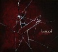 Cover-Bild zum Titel 'Fractured' von 'Lunatic Soul'