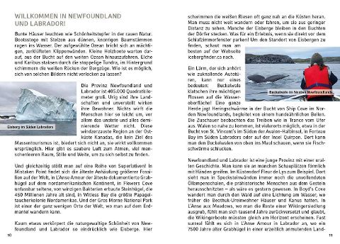 InsideView 4
