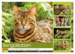 Bengalkatzen. Der elegante Mini-Leopard im Garten (Wandkalender 2026 DIN A2 quer), CALVENDO Monatskalender - Rose Hurley