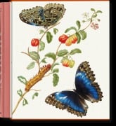 Cover-Bild zum Titel 'Merian' von 'Katharina Schmidt-Loske'