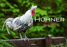 Hühner Kalender 2026 - J. -L. Klein, M. -L. Hubert