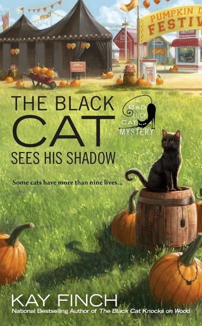 The Black Cat Sees His Shadow - Kay Finch