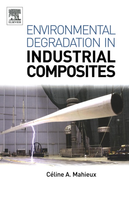 Environmental Degradation of Industrial Composites - Celine A Mahieux