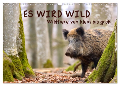ES WIRD WILD Wildtiere von klein bis groß (Wandkalender 2024 DIN A3 quer), CALVENDO Monatskalender - Angela Merk