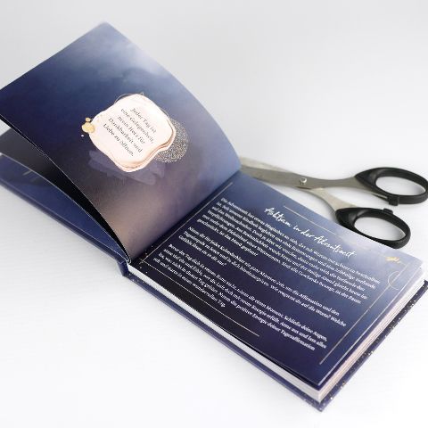 InsideView 7