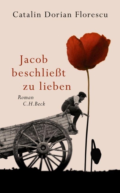Jacob beschließt zu lieben - Catalin Dorian Florescu