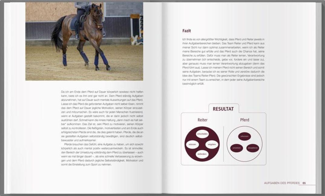 InsideView 3