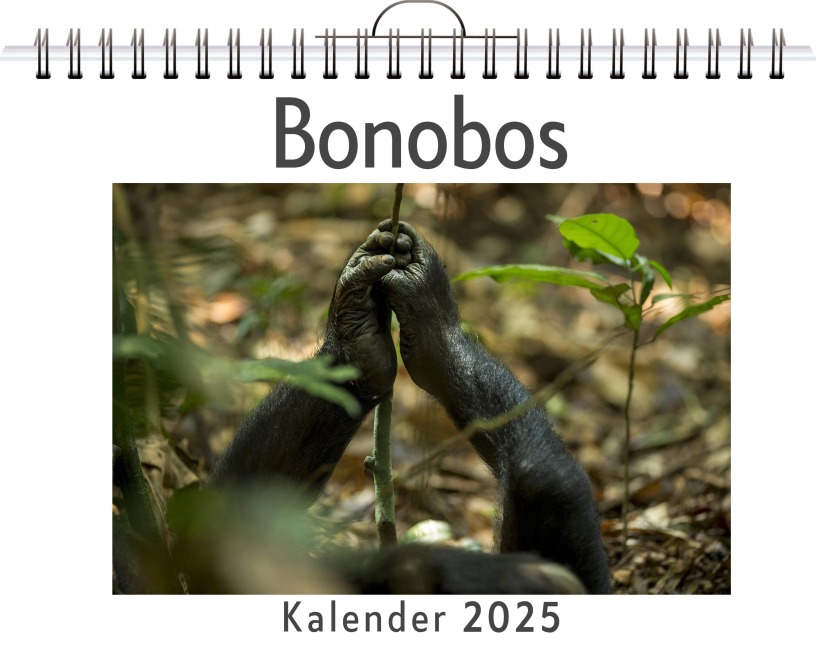 Bonobos - Tim Neumann