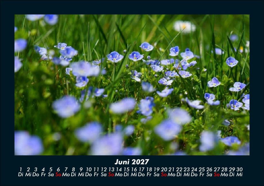 InsideView 10