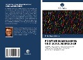 Cover-Bild zum Titel 'POSITIVE MASSNAHMEN UND SCHULABBRECHER' von 'Edimilson Meira'